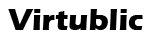 Virtublic